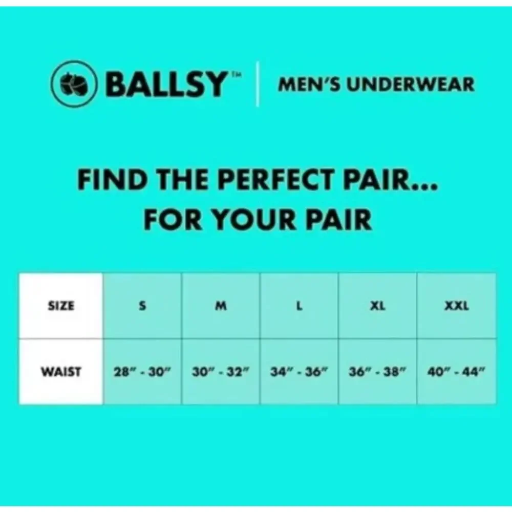 Ballsy Cartoon Love Teal Black Allover Print Mens Boxer Brief Medium
